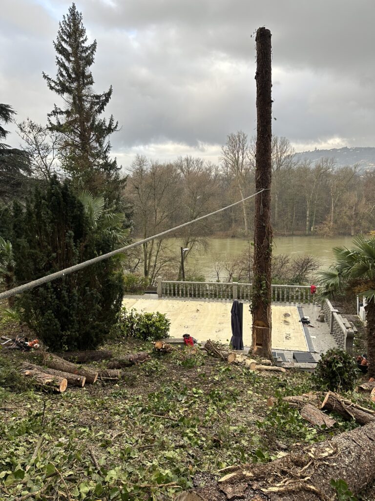 Entreprise d'abattage à Rillieux-la-Pape
